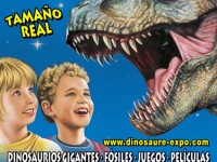 Fazzini_Credits_161