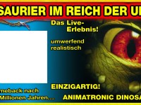 Fazzini_Credits_250