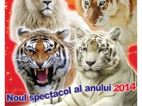 Fazzini_Credits_278